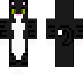 dios gato