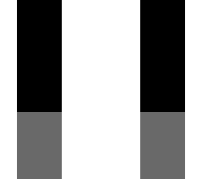 skin base