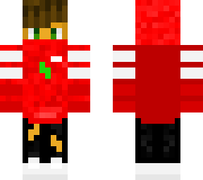 vichiin
