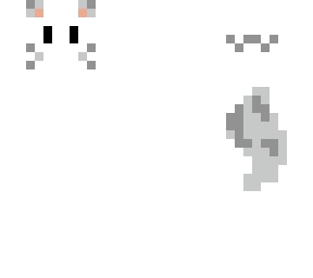white cat