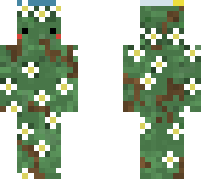 daisys