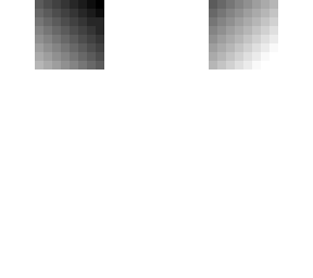 shaded head