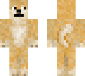 doge :d