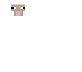headless sheep