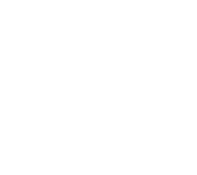 white checkered (holo)