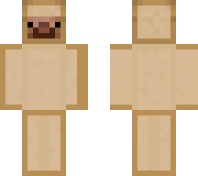 bread steve