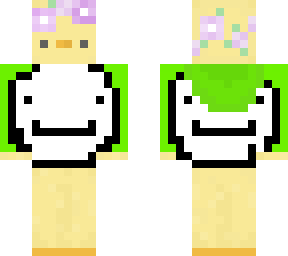 dream duck