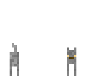 another cat
