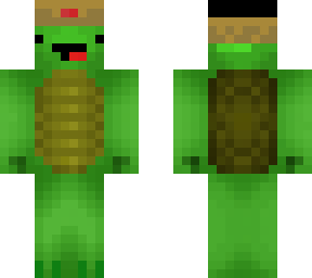 new norway turtle