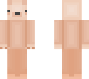 skin rce entry