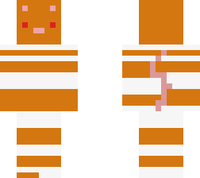 white and orange stripes rat