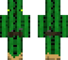 cactus wanderer