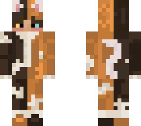 calico cat