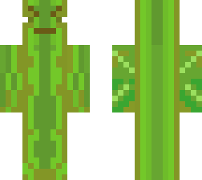 kelp