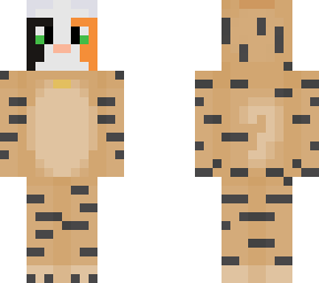 tiger year calico
