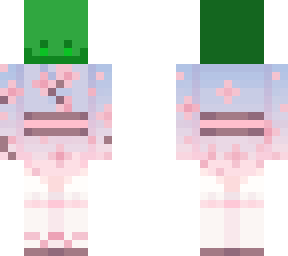 turtle in kimono