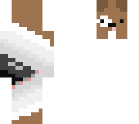 dog eye