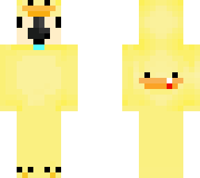 parrot duck