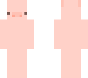 pig