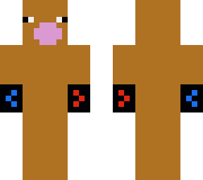 squi ??????