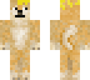 buter doge