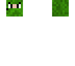 forest ninja head