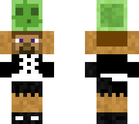 mini steve and limo