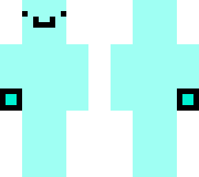 roblox smp skin