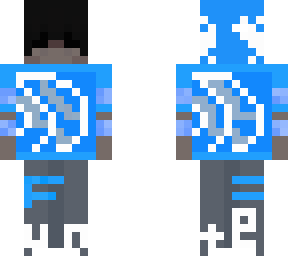 the united airlines skin