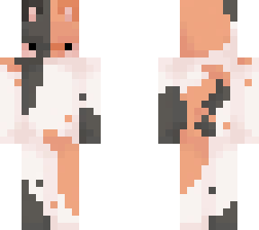 calico cat