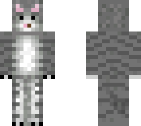 cute cat