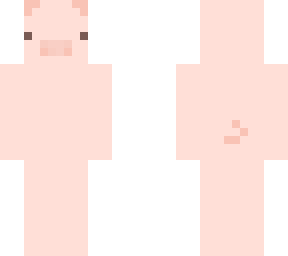 pig
