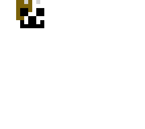 a cat
