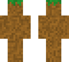 grass dirt