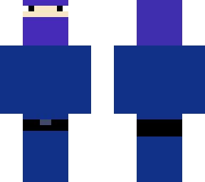 the blue ninja