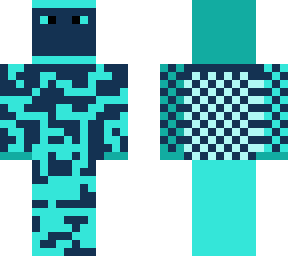 flash skin