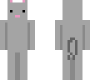 a cat