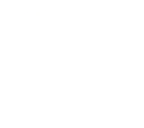 entity 064