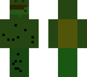 turtle sus