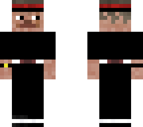 ninja steve
