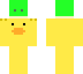 pato y tortuga