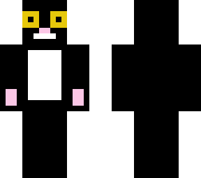 black cat
