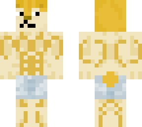 doge in swimsuit
