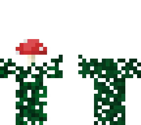 random mushroom