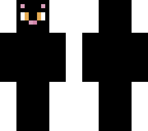 black cat