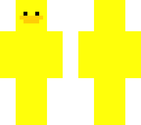 duck