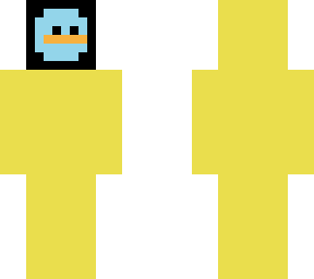 duck space