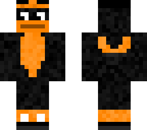 the oriole bird