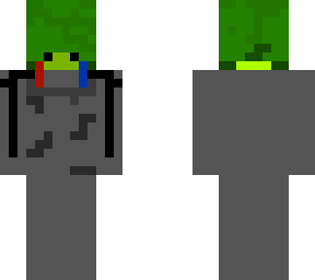 turtle in a mech suit
