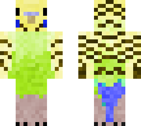 key lime the parakeet